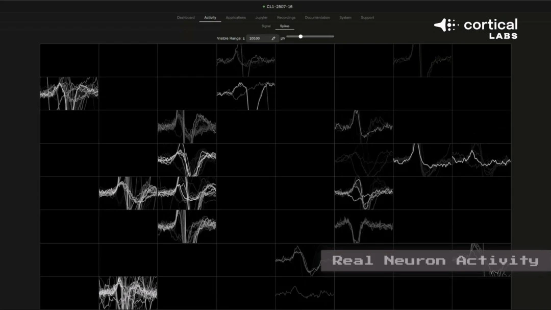 快讯,辽宁队公布,新外援,pg游戏官网登录入口,PG电子最新官网,pg游戏官网登录入口,pg电子游戏app